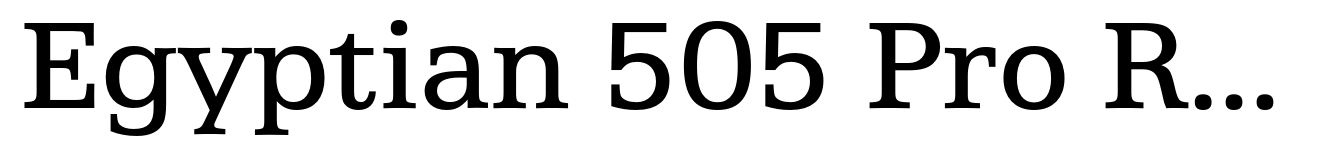 Egyptian 505 Pro Regular