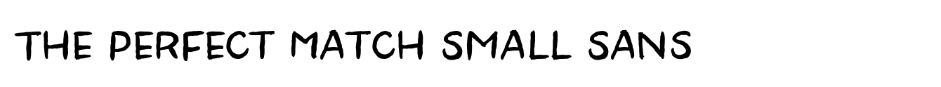 The Perfect Match Small Sans