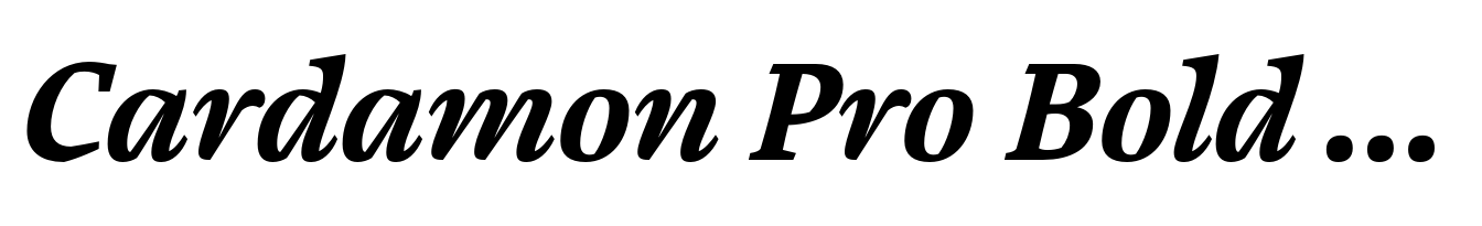 Cardamon Pro Bold Italic