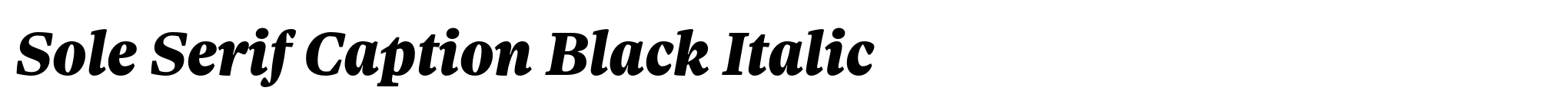 Sole Serif Caption Black Italic image