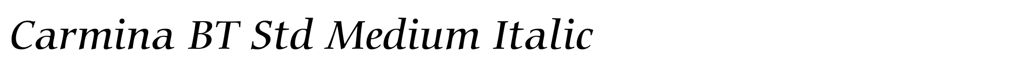 Carmina BT Std Medium Italic image