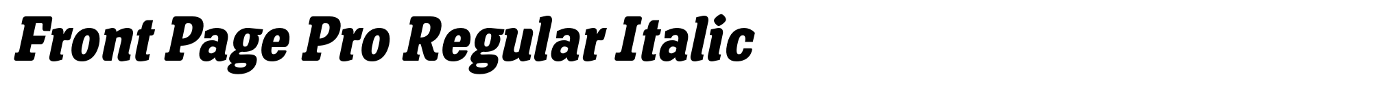Front Page Pro Regular Italic image