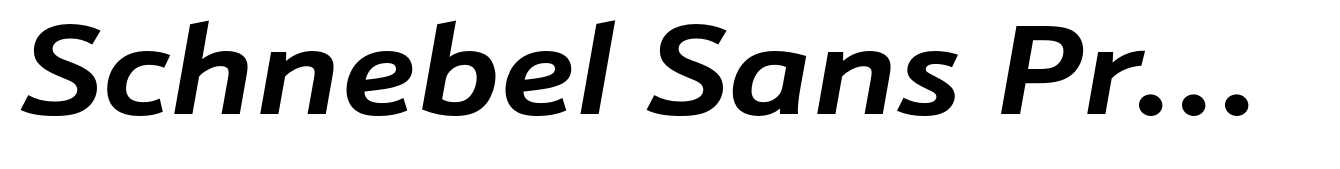 Schnebel Sans Pro Extended Bold Italic