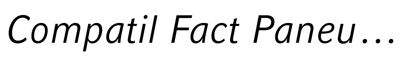 Compatil Fact Paneuropean Italic