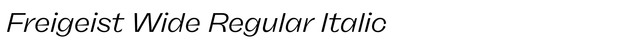 Freigeist Wide Regular Italic image