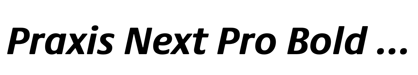 Praxis Next Pro Bold Italic