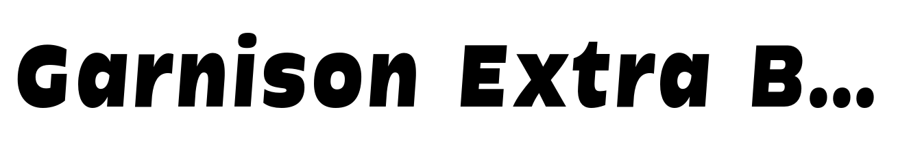 Garnison Extra Bold Italic Mono