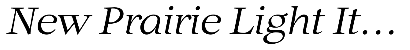 New Prairie Light Italic