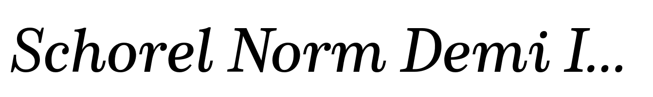 Schorel Norm Demi Italic