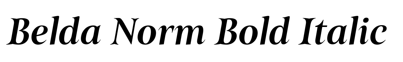 Belda Norm Bold Italic
