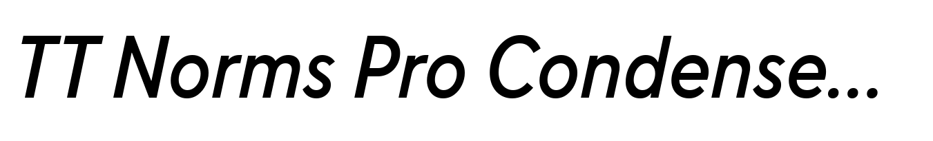TT Norms Pro Condensed Medium Italic