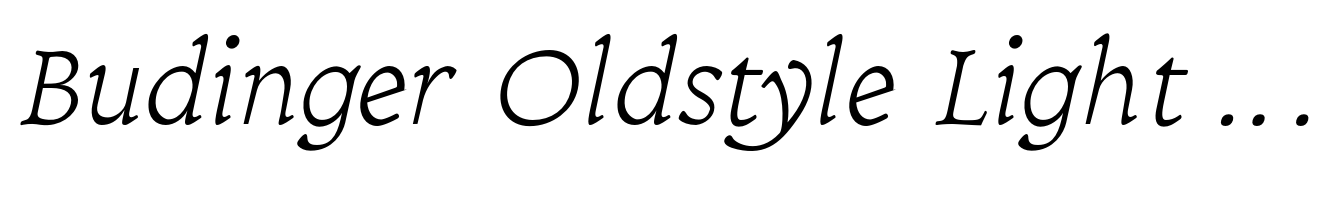 Budinger Oldstyle Light Italic