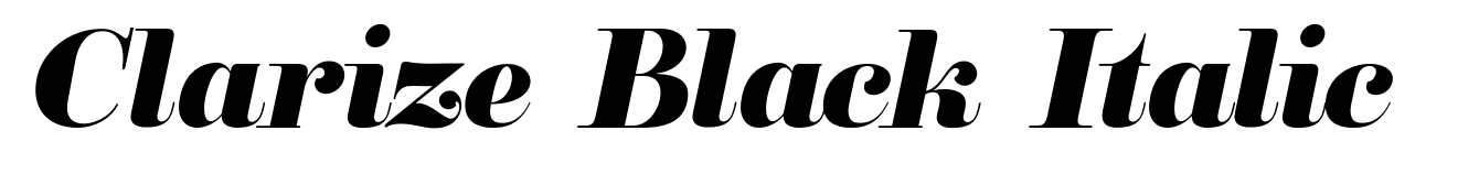 Clarize Black Italic