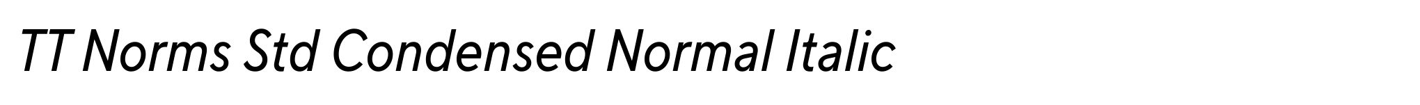 TT Norms Std Condensed Normal Italic image