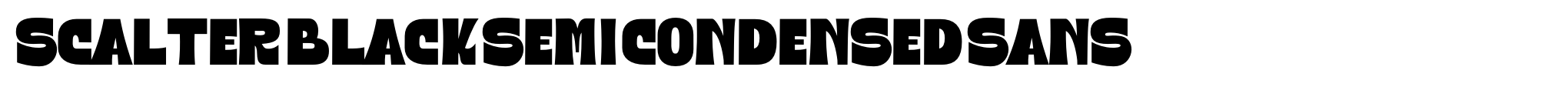 Scalter Black Semi Condensed Sans image