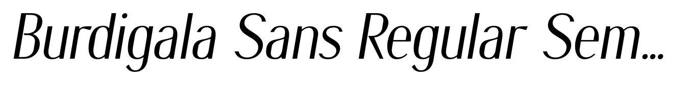 Burdigala Sans Regular Semi Condensed Italic