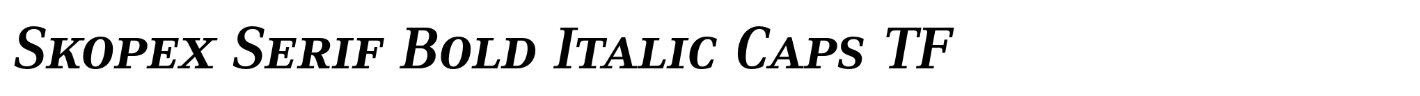 Skopex Serif Bold Italic Caps TF image