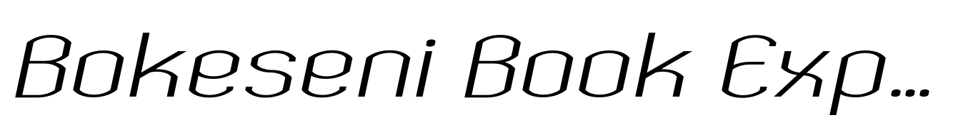 Bokeseni Book Expanded Italic