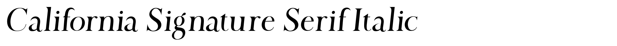 California Signature Serif Italic image