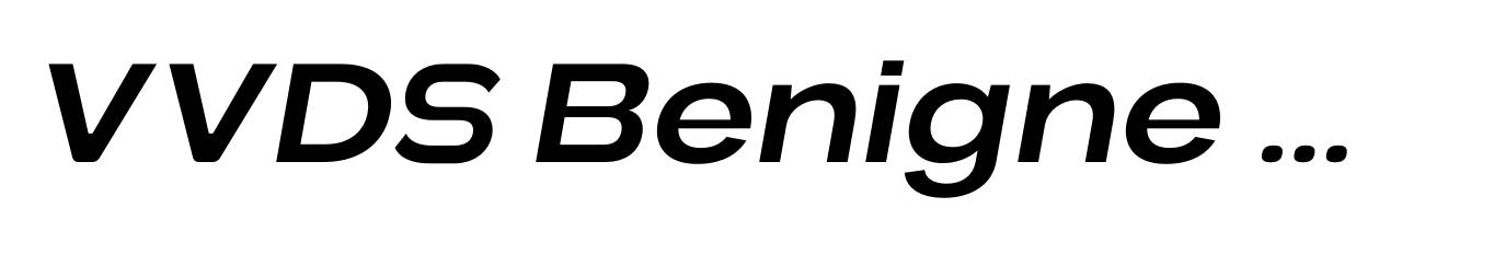 VVDS Benigne Sans Regular Italic