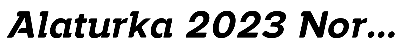 Alaturka 2023 Normal Bold Italic