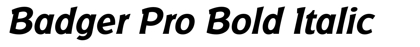 Badger Pro Bold Italic
