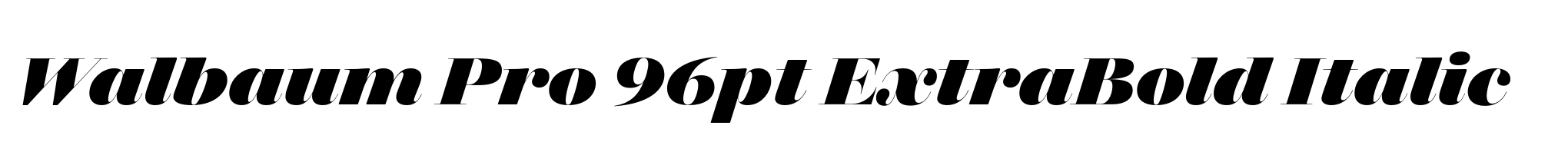 Walbaum Pro 96pt ExtraBold Italic image