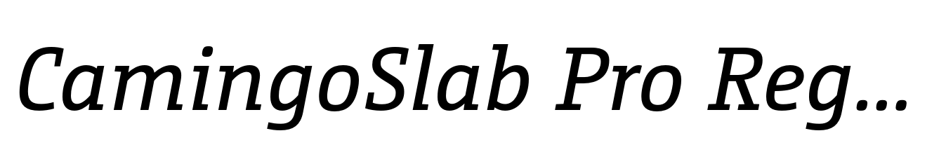 CamingoSlab Pro Regular Italic
