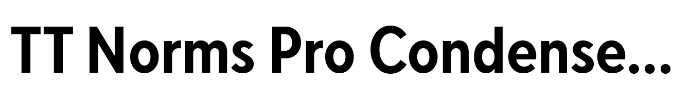 TT Norms Pro Condensed Bold