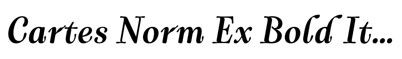 Cartes Norm Ex Bold Italic