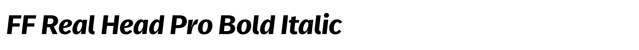 FF Real Head Pro Bold Italic image