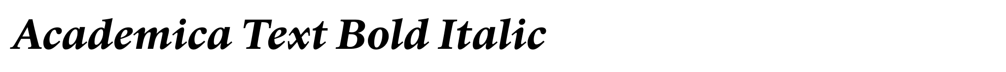 Academica Text Bold Italic image