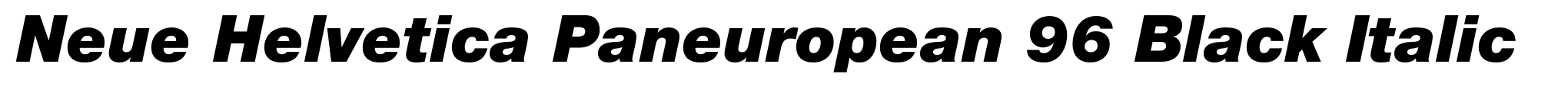 Neue Helvetica Paneuropean 96 Black Italic image