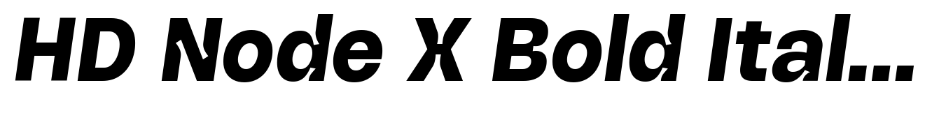 HD Node X Bold Italic