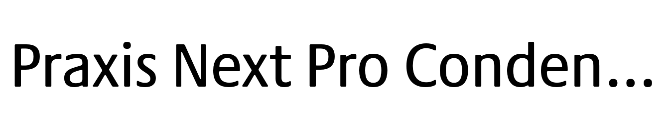 Praxis Next Pro Condensed Medium