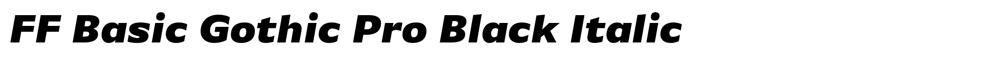 FF Basic Gothic Pro Black Italic image
