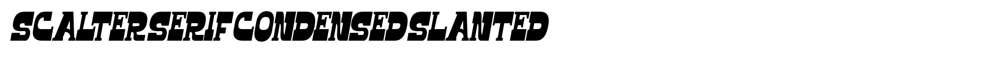 Scalter Serif Condensed Slanted image