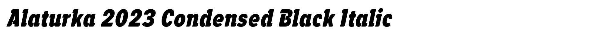 Alaturka 2023 Condensed Black Italic image