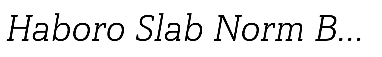 Haboro Slab Norm Book Italic