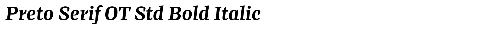 Preto Serif OT Std Bold Italic image