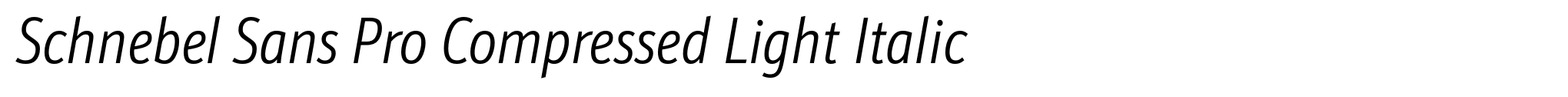 Schnebel Sans Pro Compressed Light Italic image