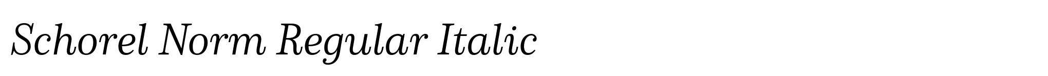 Schorel Norm Regular Italic image