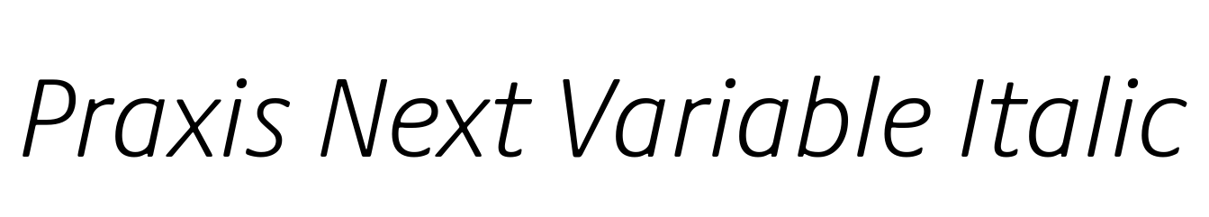 Praxis Next Variable Italic