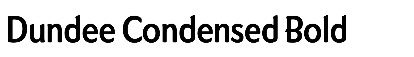 Dundee Condensed Suitcase Font | Webfont & Desktop | MyFonts