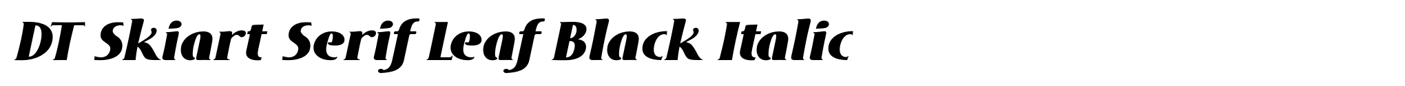 DT Skiart Serif Leaf Black Italic image