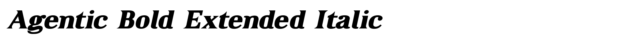 Agentic Bold Extended Italic image