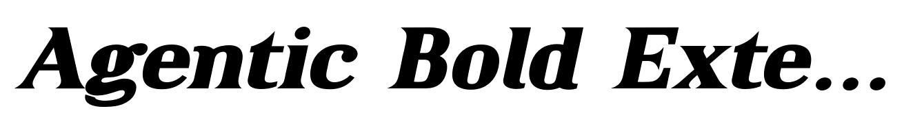 Agentic Bold Extended Italic