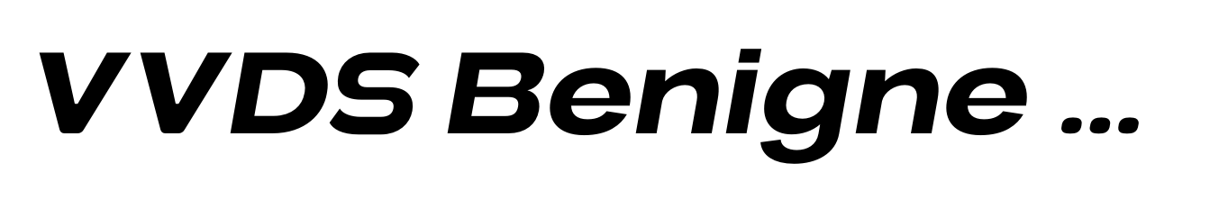 VVDS Benigne Sans Medium Italic