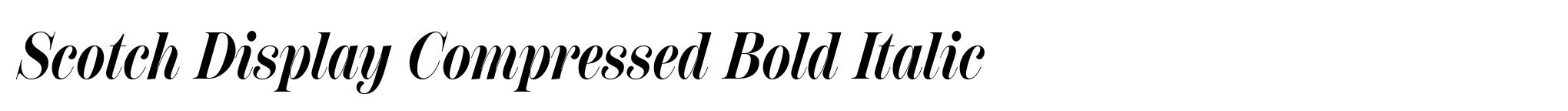 Scotch Display Compressed Bold Italic image