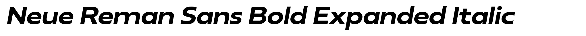 Neue Reman Sans Bold Expanded Italic image